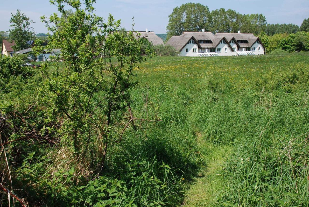 Strandhaus Lobbe - Fewo 45499 Exterior foto